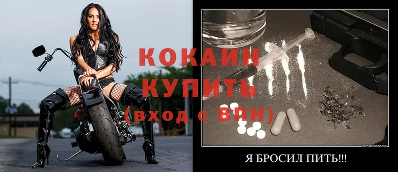 Cocaine Fish Scale  kraken как зайти  Краснослободск 